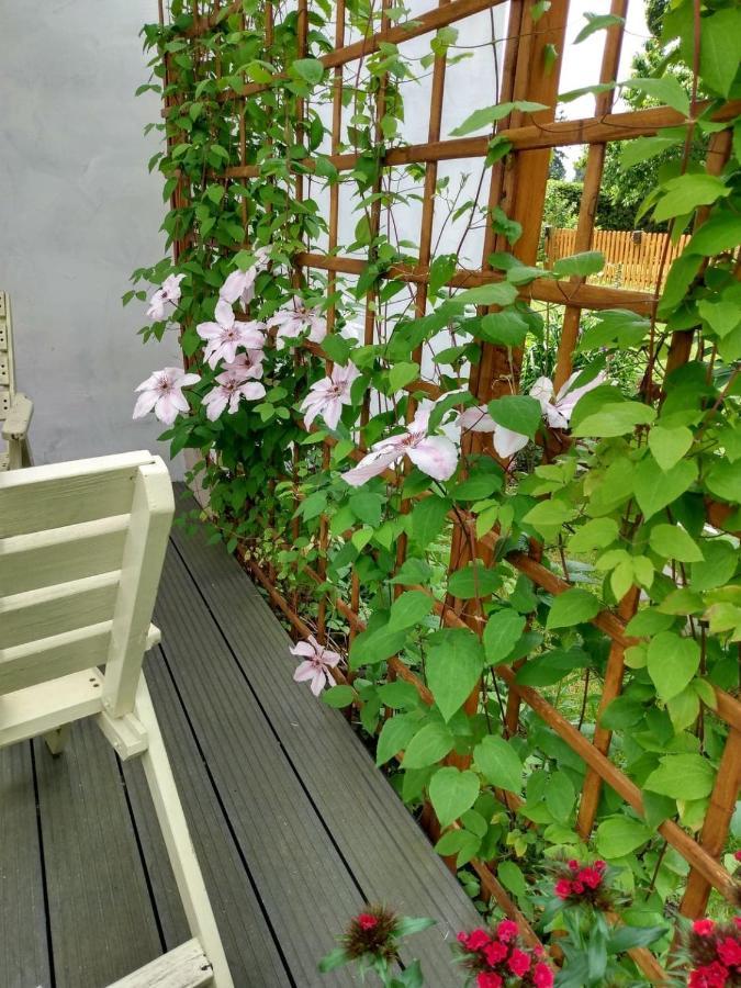 Apartament Przy Kamiennej Chacie Zalewo  Eksteriør bilde